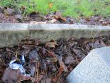 image of grave number 362702